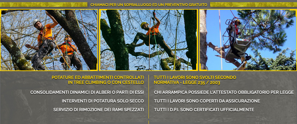 Potature Alberi a Roma