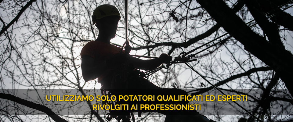 Contatto per servizio di potatura alberi